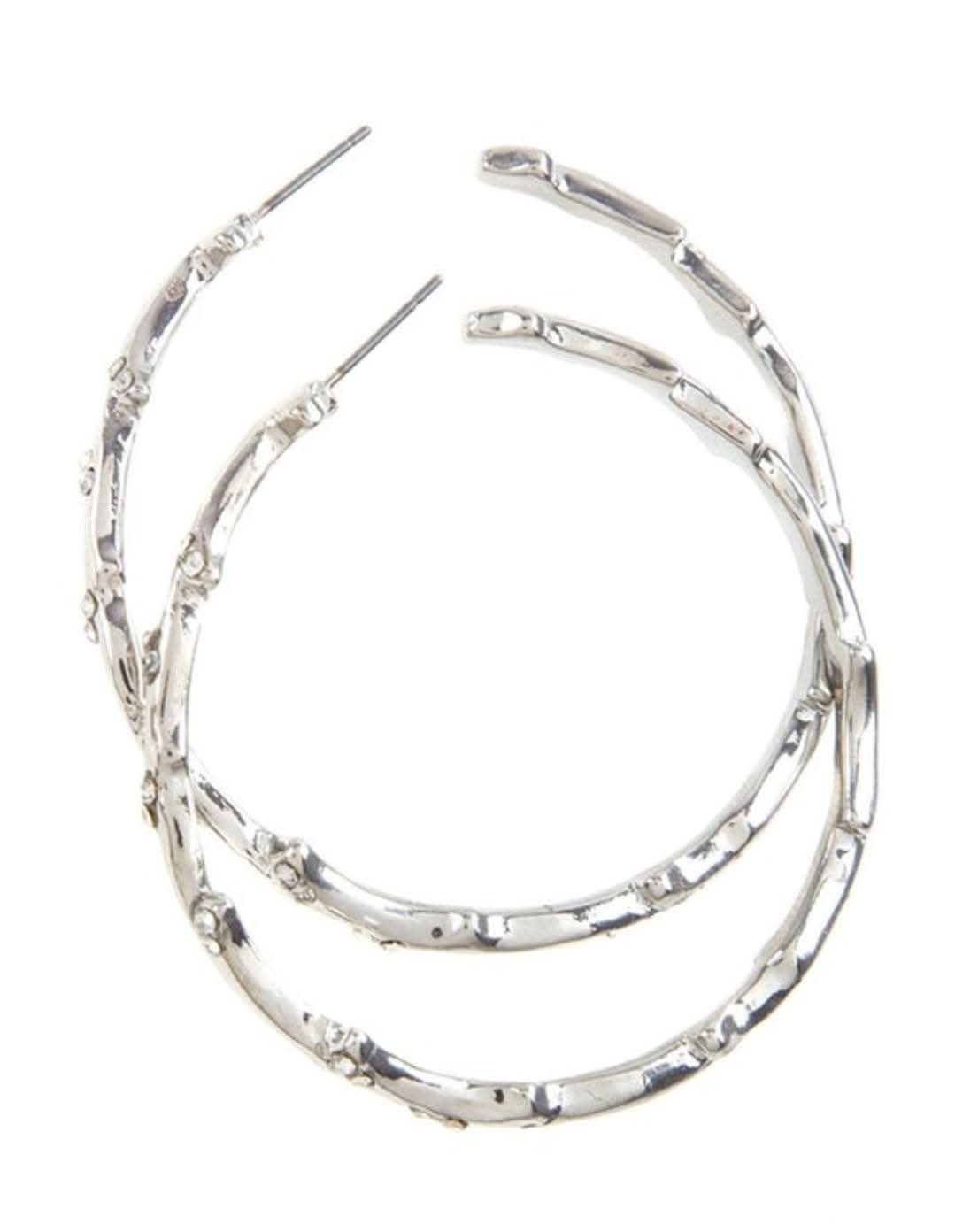 Large Hoop Earrings