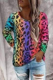 Multi Color Leopard Long Sleeve Top